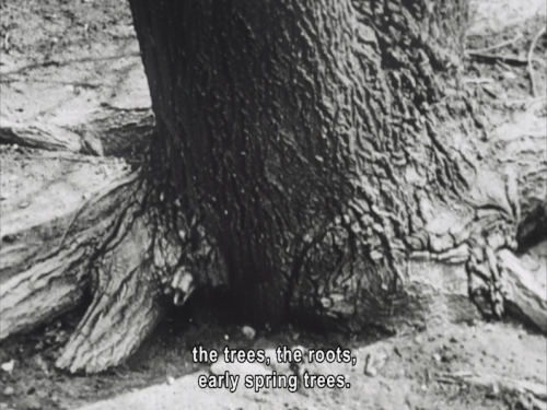 cryingoverfilmshots: Lost, lost, lost (1976), dir. Jonas Mekas