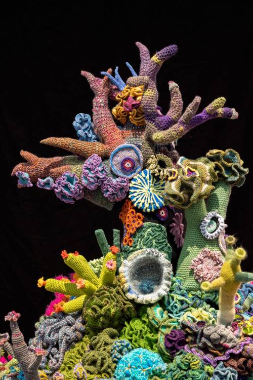 elodieunderglass:arachnaetheyarnspider: itscolossal: A Vibrant Coral Ecosystem of Thousands of Croch