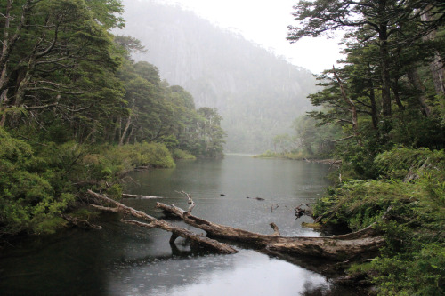 Parque Nacional Huerquehue, Chile by Francisca Valenzuela Garrido