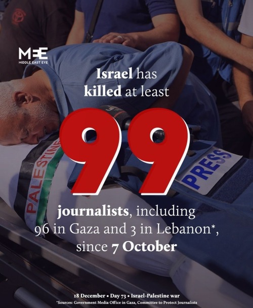 Palestine Updates
