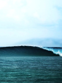 surfsouthafrica:  Empty wave mind surfing.