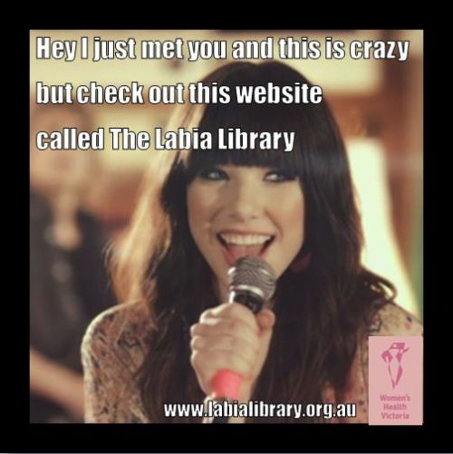 There sure is! Check it out for reliable information about your lady bits www.labialibrary.or