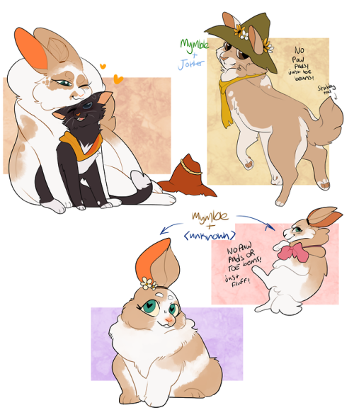 Mymble, Joxter, and offspring!No one asked but now you have bunnies and a mixbreed uwu