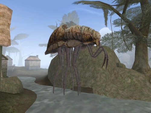 uesp: “Why walk when you can ride?”
