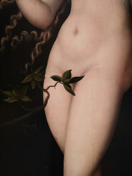 little-fig: Adam and Eve, c. 1530 Lucas Cranach