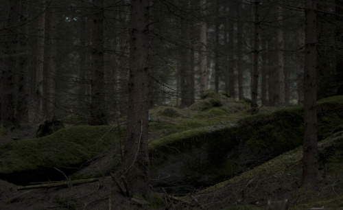 kamilanoranetik:https://www.facebook.com/KamilaNoraNetik