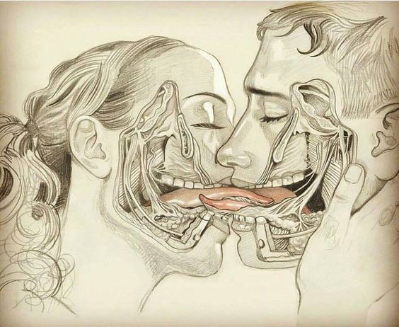 grundoonmgnx:    Sebastià Martí Benedí, It’s What’s Inside that Counts   (Anatomy