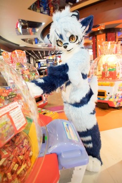 Aww Can I Have Those Candies?! - By Radywolf Aaaahh So Cute Why Are Japanese Fursuiters