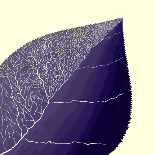 Something That I Will Never Get Tired Of Looking At With Glasses On Is Trees