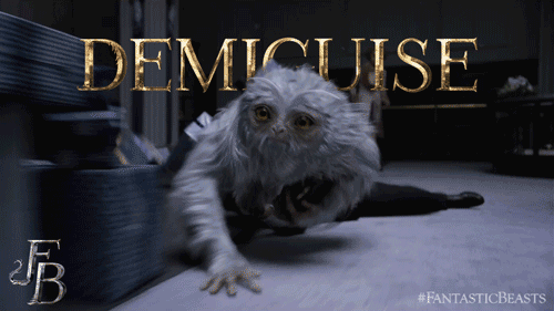 DEMIGUISE APPRECIATION POST