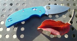 xiaolongjackson:  Spyderco Sage 3 (Blue G-10).