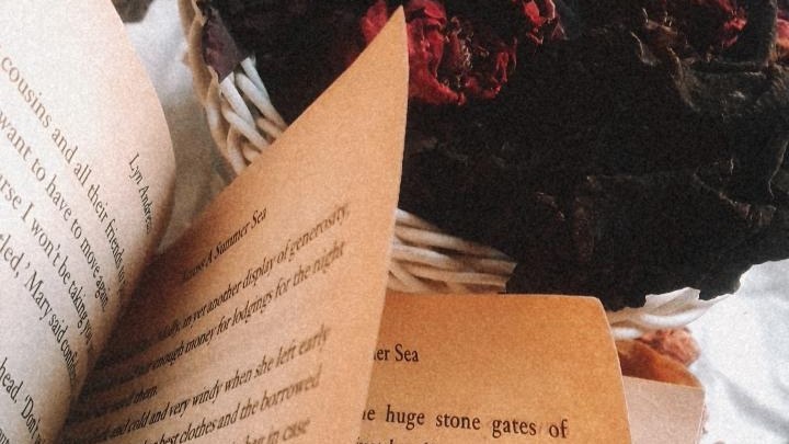 photo Tumblr Aesthetic Dark Academia Quotes dark academia quotes on tumblr