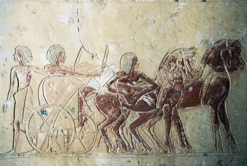 Egyptian chariot pulled by horses in Amarna style, detail of a wall relief from the Memphite Tomb of