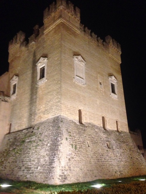 supervisemyjohnson: The town castle of Mesagne, the city where my dad lives.