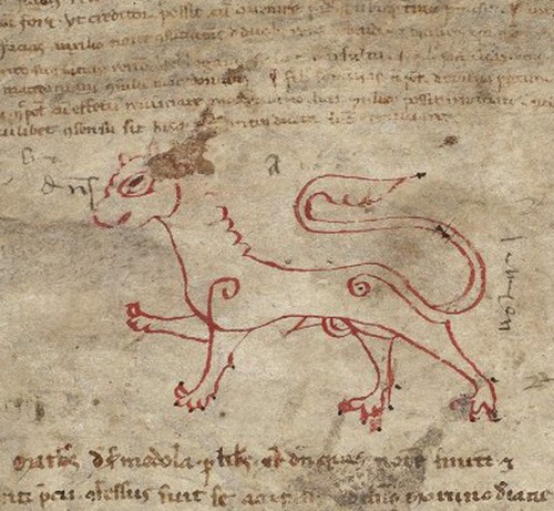 This lion comes from a manuscript dating between 1227-1237 from Padua. It consists of a brief explan