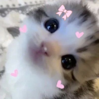 Me If U Guys Even Care