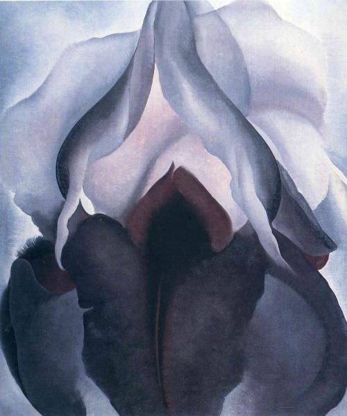 lepliinfini: Georgia O’Keeffe, Black Iris