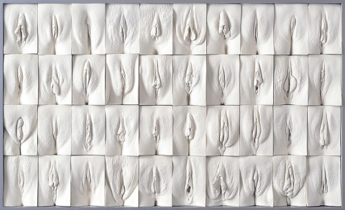 artandunmentionables:  Jamie McCartney, The Great Wall of Vagina“Vulvas and labia are as different as faces and many people, particularly women, don’t seem to know that. […] The Great Wall of Vagina makes for fascinating and revealing viewing which