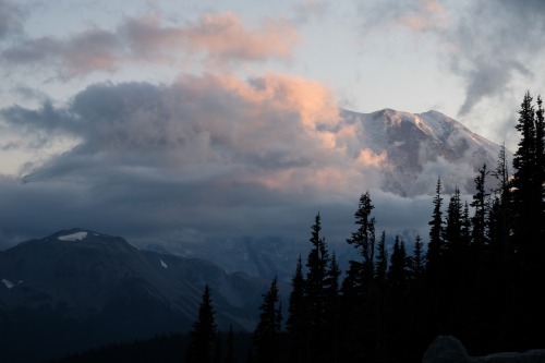 jenifir-juniper:End of the day in Mount Rainier National Park