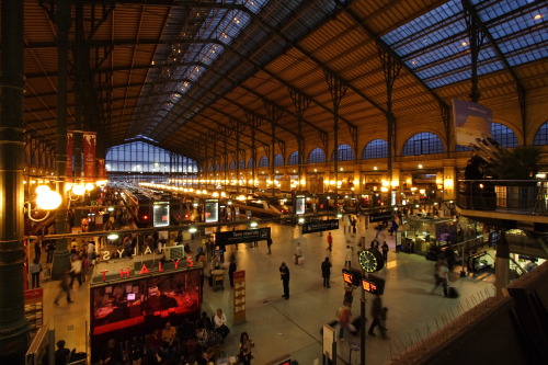 myshadowfledonorleansavenue:  Gare du Nord terminal. Paris, France.  