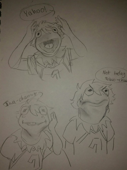 pastelindividual:Haikyuu!au where everything is the same but oikawa has kermit the frog’s head and v