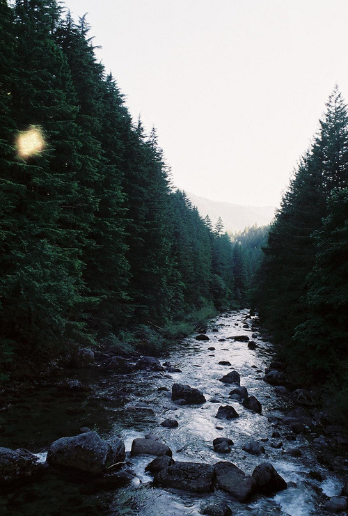eartheld:  mostly nature