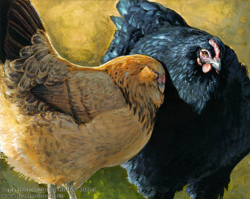 nambroth:“Willow and Mildred”, a fun painting of two of my hens. Willow (the gold colored hen) loves