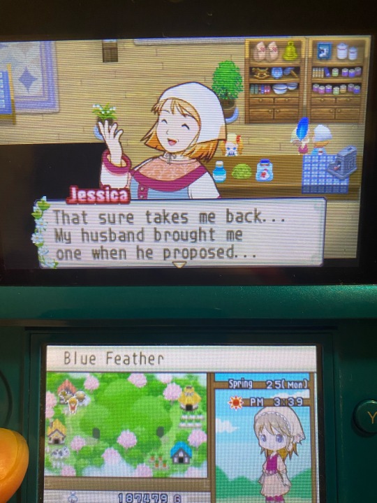 harvest moon tale of two towns bachelor ash