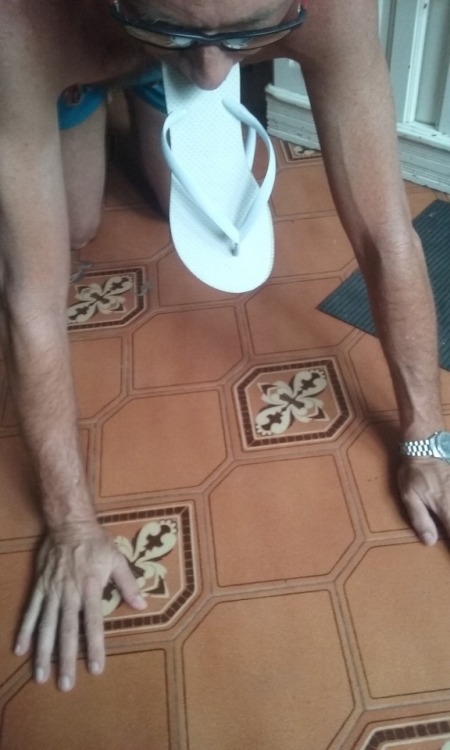 Trazendo com a boca o meu chinelo agora branquinho depois da surra que levou para deixa-Los limpinho
