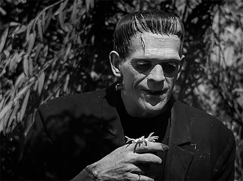 dailyhorrorfilms:Frankenstein, 1931 | James Whale.