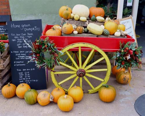 Pumpkin Cart.