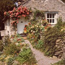 #cottagecore#cottage#house#flowers#cottagecore aesthetic#aesthetic
