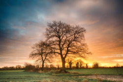 nubbsgalore:  photos by graham colling, taken around his home in the english countryside 