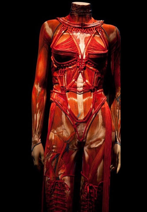 Porn Pics horrorlesbians:anatomy in fashionAnatomy-Inspired