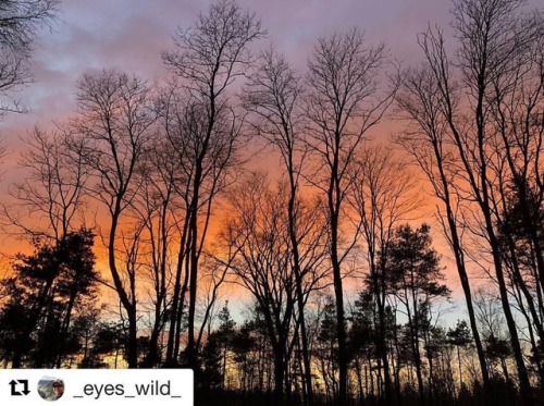 #Repost @_eyes_wild_ with @get_repost ・・・ Dusky Vibrance • #raw_nature #raw_sunset #nwpa #pa_skystas