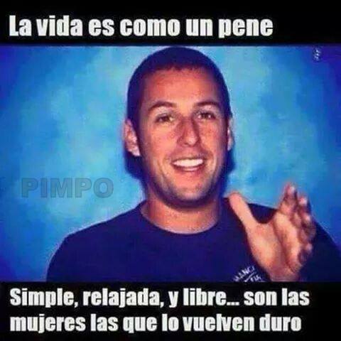 futubandera:  Toda la Razon , se pone dura y te escupe en la cara