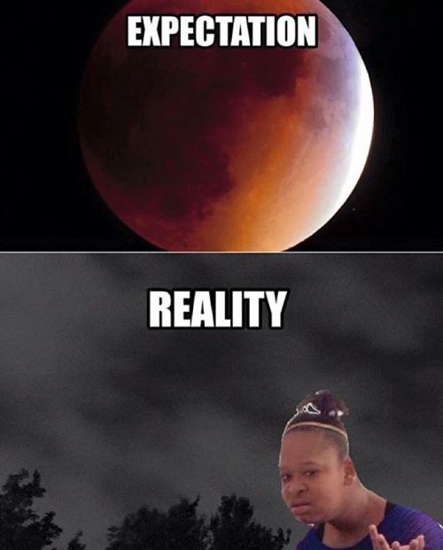 triphecda:  Hahaha had to steal this from @neptuneexplainsitall
