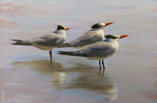 jerzee55z:Tern Tern Tern by Prentice StudioEcclesiastes 3.