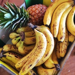 anna-onea:When perfect organic bananas are