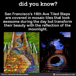 did-you-kno:  San Francisco’s 16th Ave