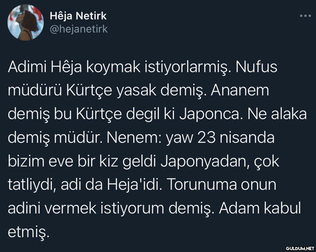 Hêja Netirk @hejanetirk...