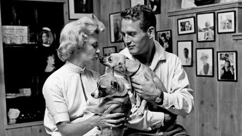 thenewmans:Paul and Joanne at their home in Beverly Hills, 1958.