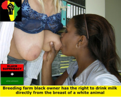 Whiteshannon4Bbc:  Itsblackmandominance:  Of Course,  Whites Have No Rights,  And