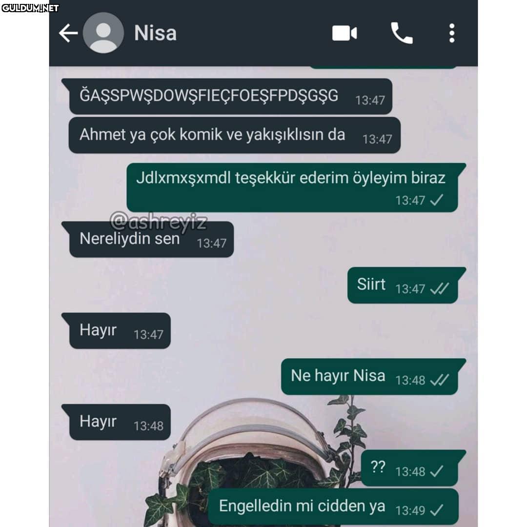 Nisa...