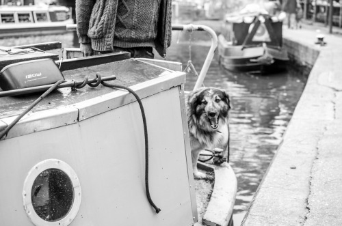 barge life / london / eatrepeat.blogspot.com