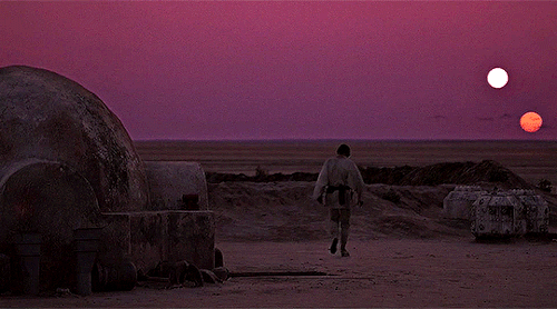 The Beauty Of STAR WARS 