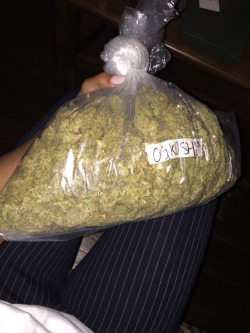 tripshawty:  $$$