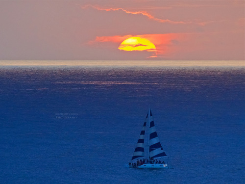 Gold Coast sail &amp; sun by RobertCross1 on Flickr.