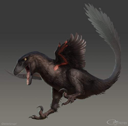 alphynix:barryalans:grimchild:The DinosaursI was lucky enough to get the opportunity to do art for D