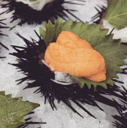 Sea urchin… #healthyfood #instafood #food #eat #korea #foodie #seaurchin #chef #cheflife #sea